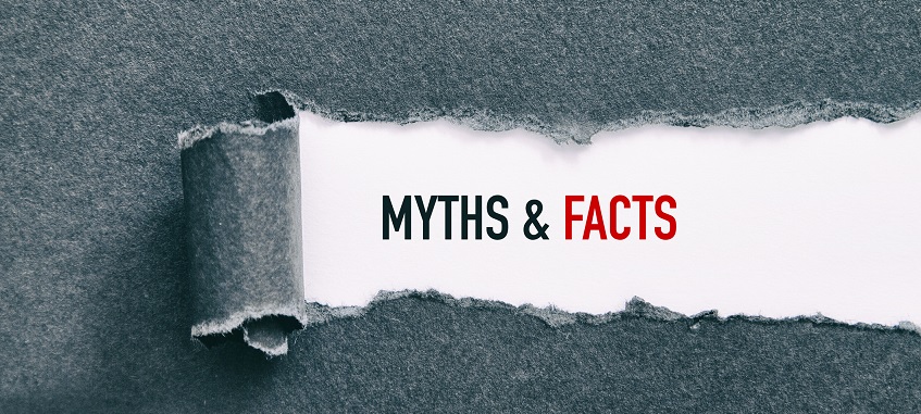 mity i fakty